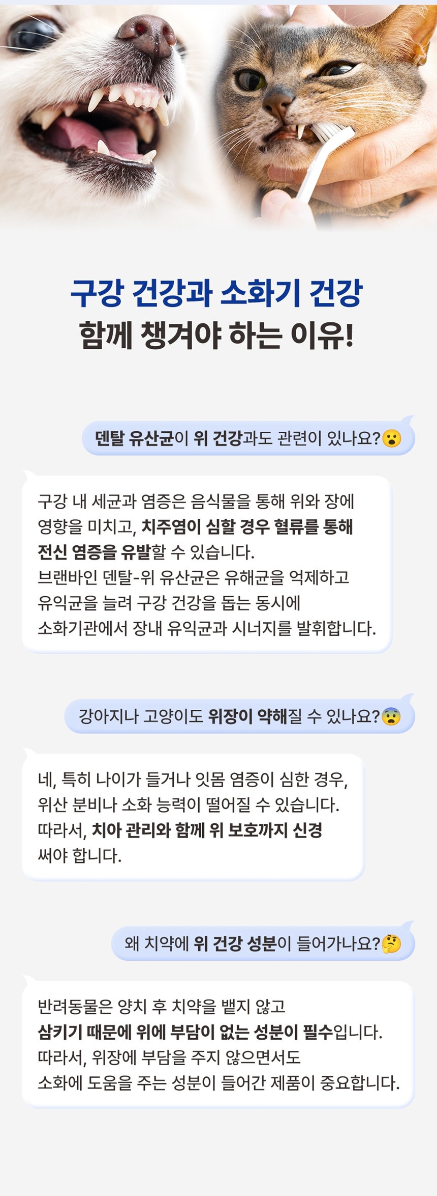 [무료배송] 브랜바인 덴탈 위 유산균 120g 3번째