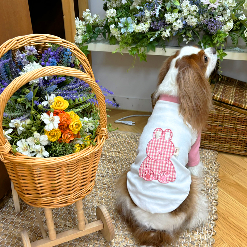 [무료배송] 해피댕댕 곰토끼티셔츠 S - 2XL 4번째