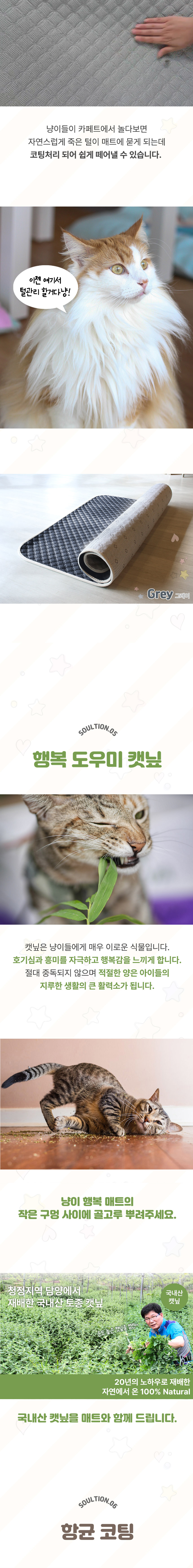 [NEW신상][무료배송] 초코펫하우스 캣 반영구 놀이방 냥이 행복 카페트 소형-대형 4colors 9번째
