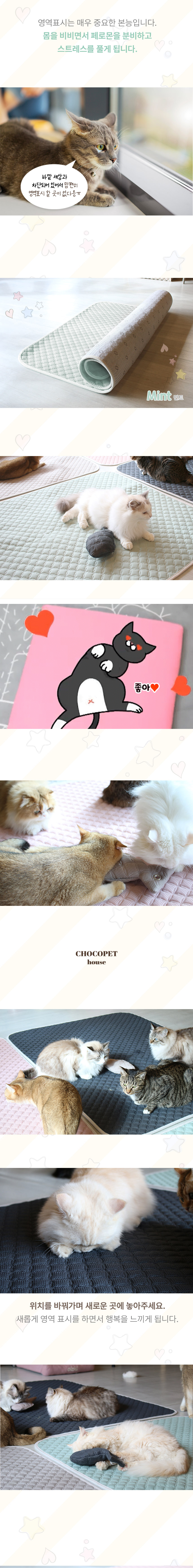 [NEW신상][무료배송] 초코펫하우스 캣 반영구 놀이방 냥이 행복 카페트 소형-대형 4colors 8번째