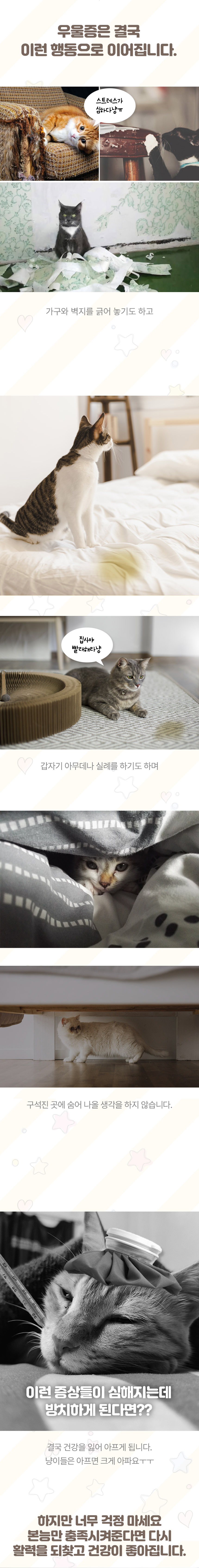 [NEW신상][무료배송] 초코펫하우스 캣 반영구 놀이방 냥이 행복 카페트 소형-대형 4colors 4번째