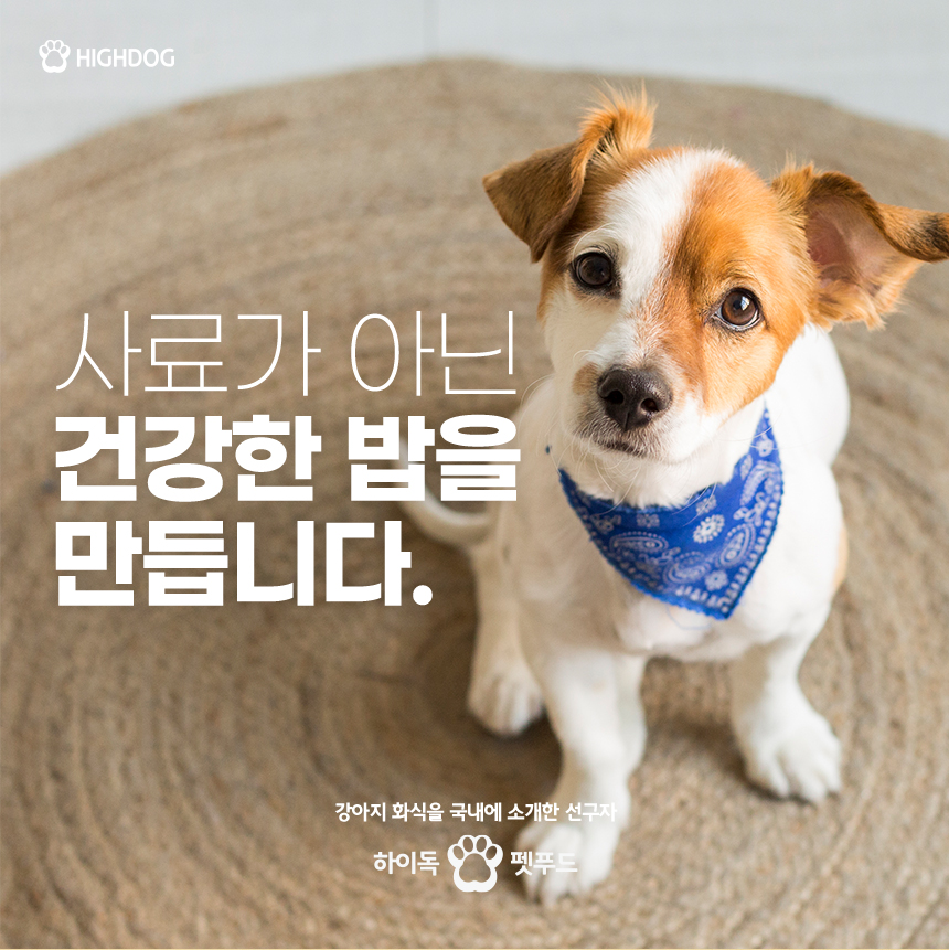 [무료배송] 하이독 자연식 화식 2주 세트 1번째