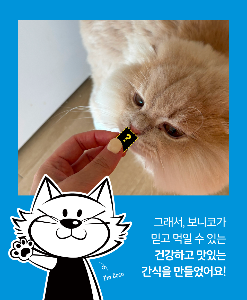[NEW신상]보니코 캣 스낵킹 연어 50g 2번째