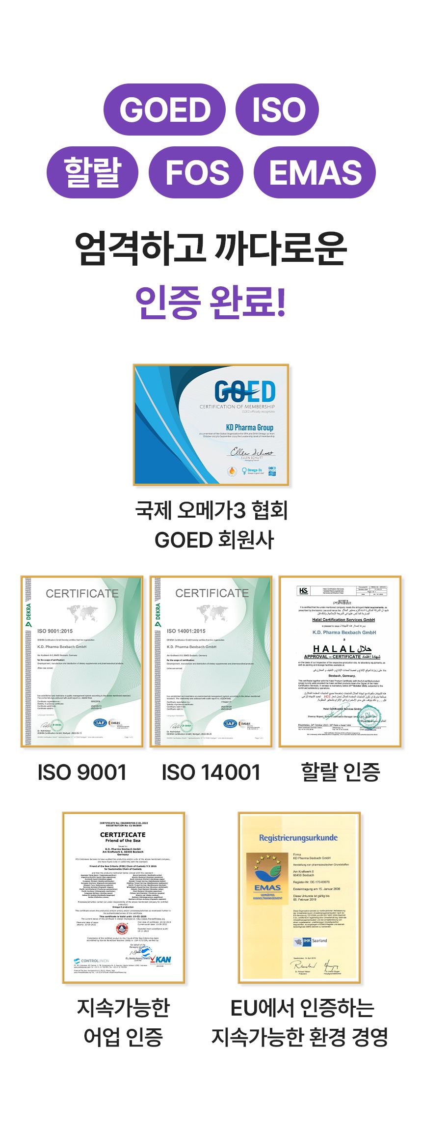펫생각 데일리케얼 리얼 rTG 오메가3 플러스 60정 11번째