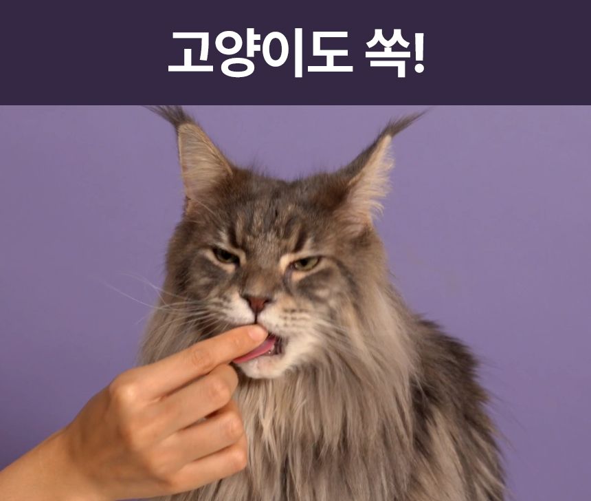펫생각 데일리케얼 리얼 rTG 오메가3 플러스 60정 21번째