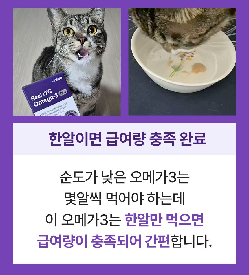펫생각 데일리케얼 리얼 rTG 오메가3 플러스 60정 44번째