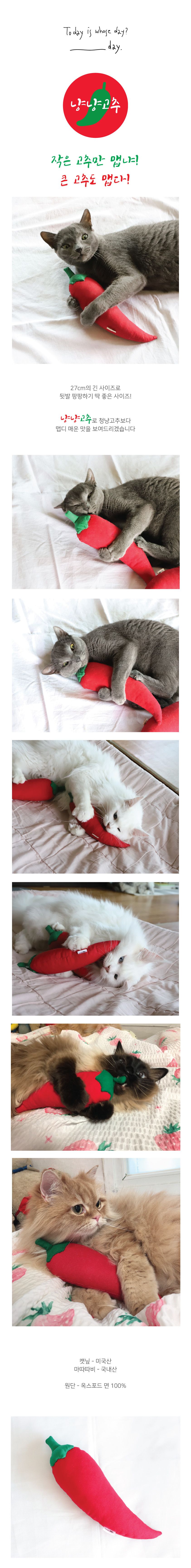 [무료배송] 블랭크데이 냥냥고추 캣닢 마따따비 쿠션 1번째