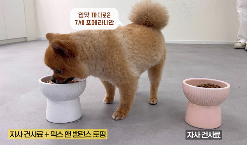 [무료배송] 마이펫닥터 독 믹스 앤 밸런스 연어 400g 8번째