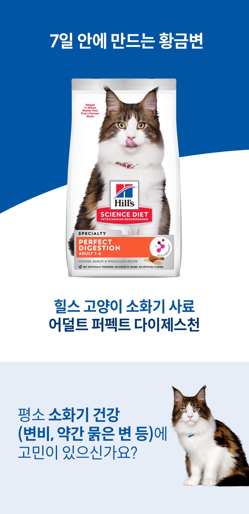 힐스 캣 어덜트 1+ 퍼펙트 다이제스쳔 치킨 1.6kg 1번째