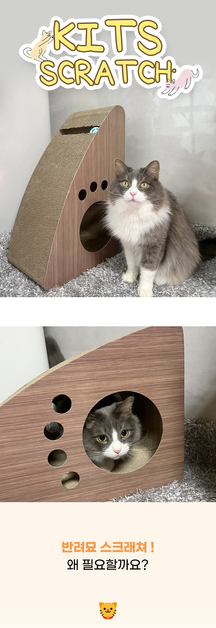 [NEW신상][무료배송] 개과천선 캣 키츠 스크래쳐 하우스 1번째