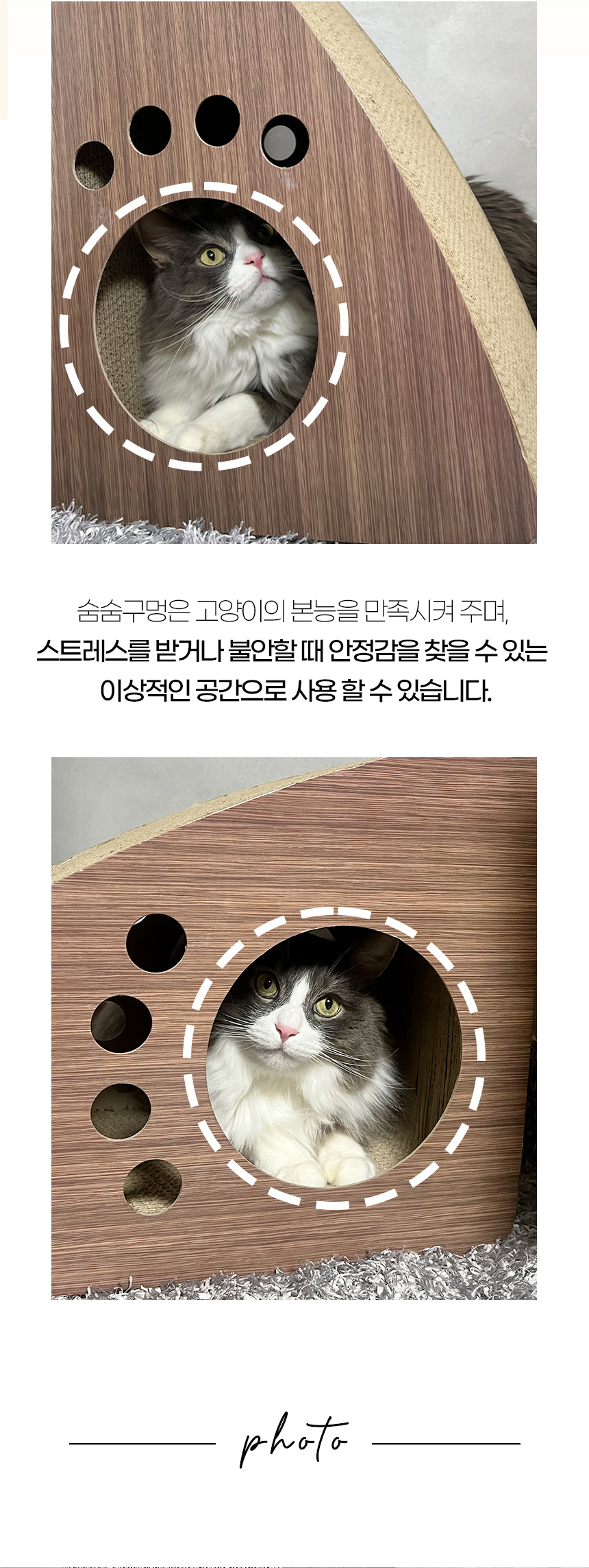 [NEW신상][무료배송] 개과천선 캣 키츠 스크래쳐 하우스 8번째
