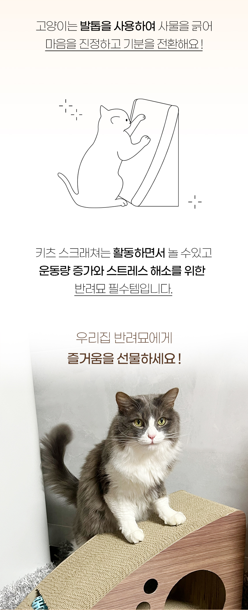 [NEW신상][무료배송] 개과천선 캣 키츠 스크래쳐 하우스 2번째