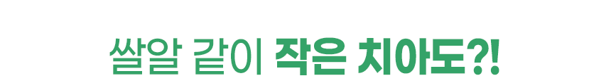[체험단] 리브펫 덴탈핏츄 1p 6번째