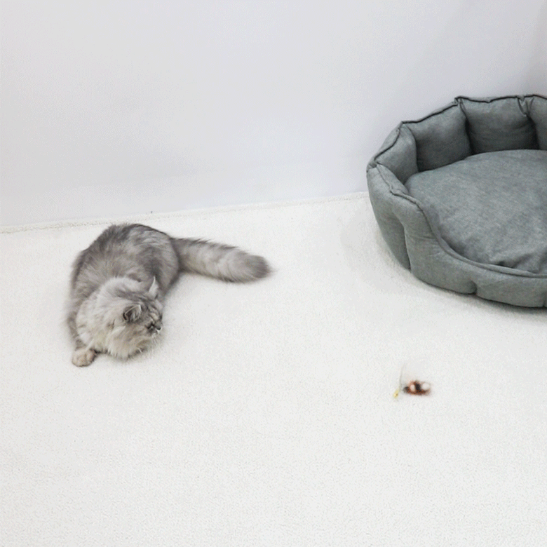 [무료배송] 에코펫위드 고양이 낚시대 소+ 벌레 장난감 2종 (랜덤) 5번째