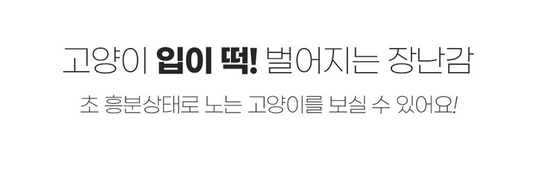 [무료배송] 에코펫위드 고양이 낚시대 소+ 벌레 장난감 2종 (랜덤) 4번째