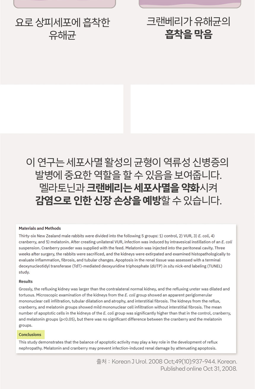 [NEW신상][무료배송] 닥터뮨 레날앤유리너리 60g 4번째