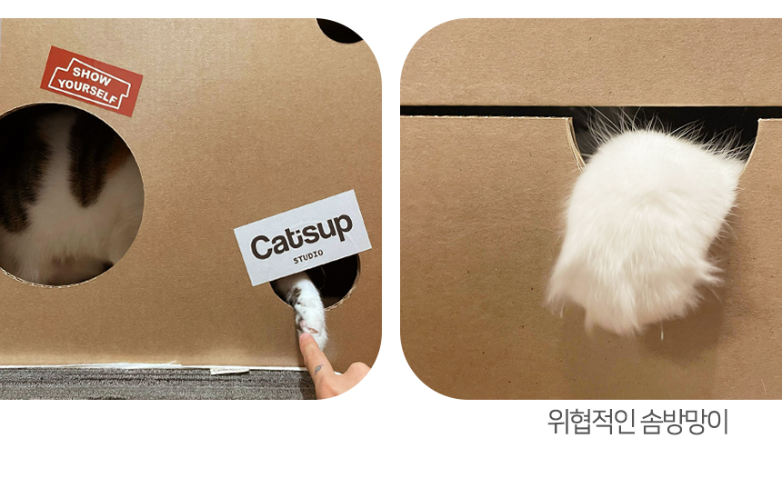 [NEW신상][무료배송] 페이퍼팝 캣 보야지 for cat 종이집 숨숨집 하우스 13번째