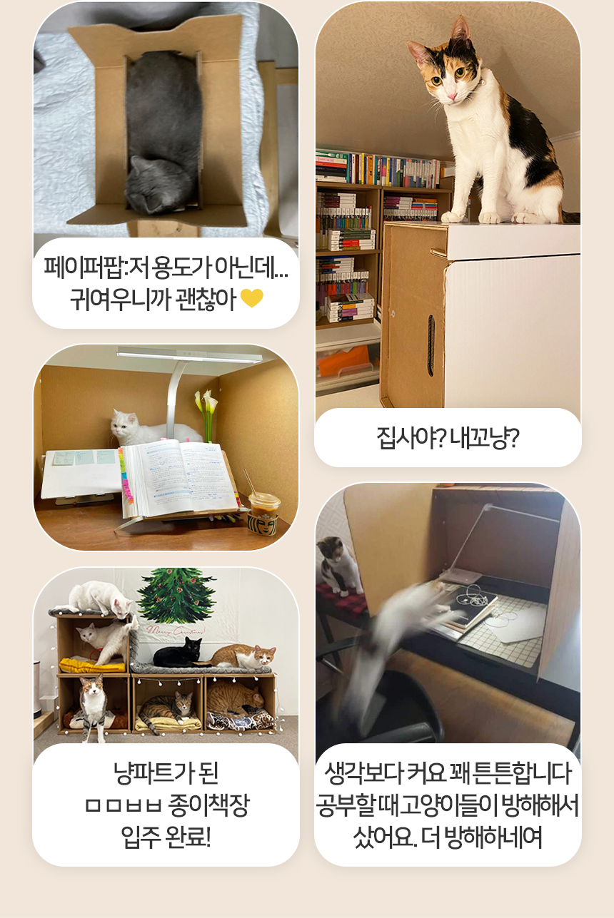 [NEW신상][무료배송] 페이퍼팝 캣 보야지 for cat 종이집 숨숨집 하우스 7번째