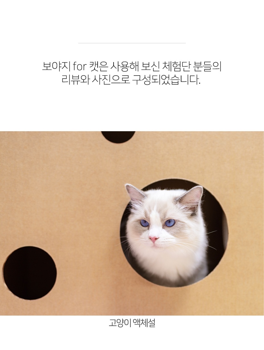 [NEW신상][무료배송] 페이퍼팝 캣 보야지 for cat 종이집 숨숨집 하우스 3번째