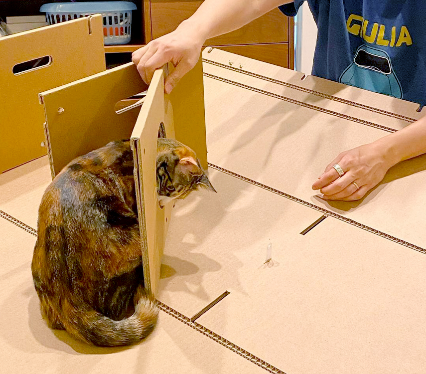 [NEW신상][무료배송] 페이퍼팝 캣 보야지 for cat 종이집 숨숨집 하우스 18번째