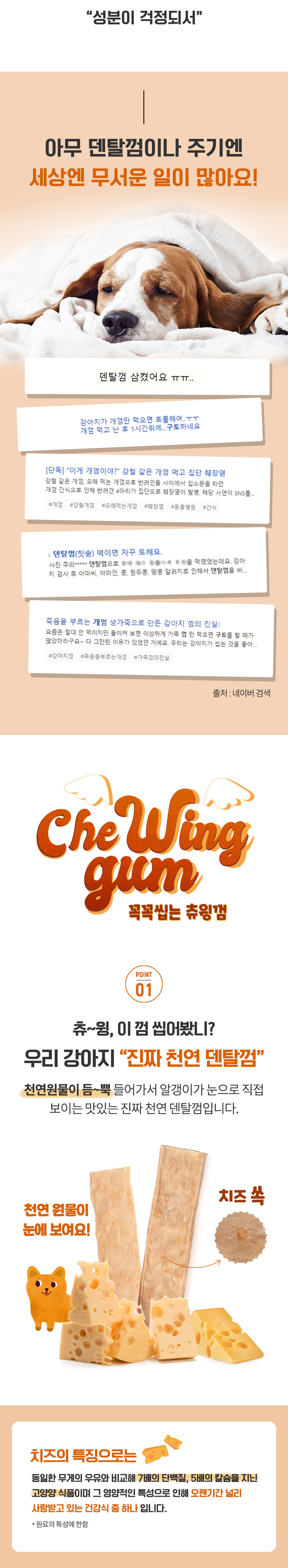 [무료배송] [추가증정]골드로니 꼭꼭씹는 츄윙껌 치즈 100g x2개 + 순살스틱 2p 증정 5번째