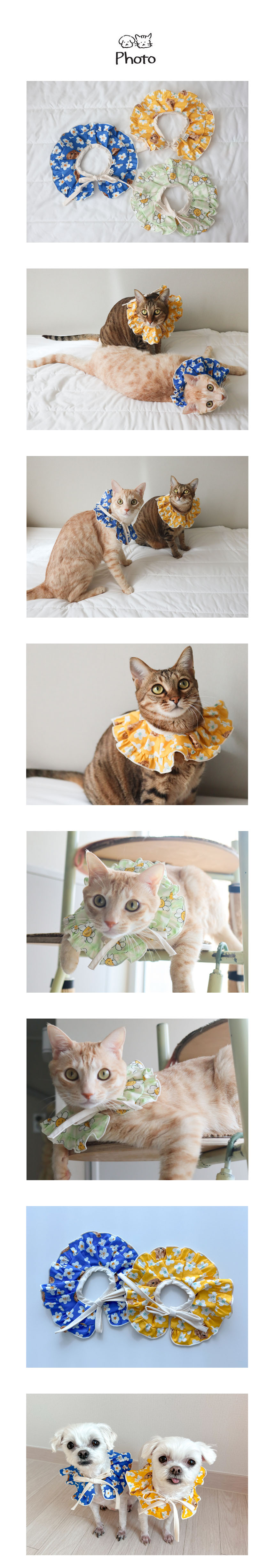 [무료배송] 개달당 라임곰 케이프 블루/옐로우/라임 3번째
