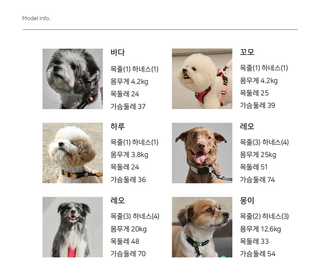 [무료배송] 앤블랭크 에센셜 프로 하네스 핑크 5번째