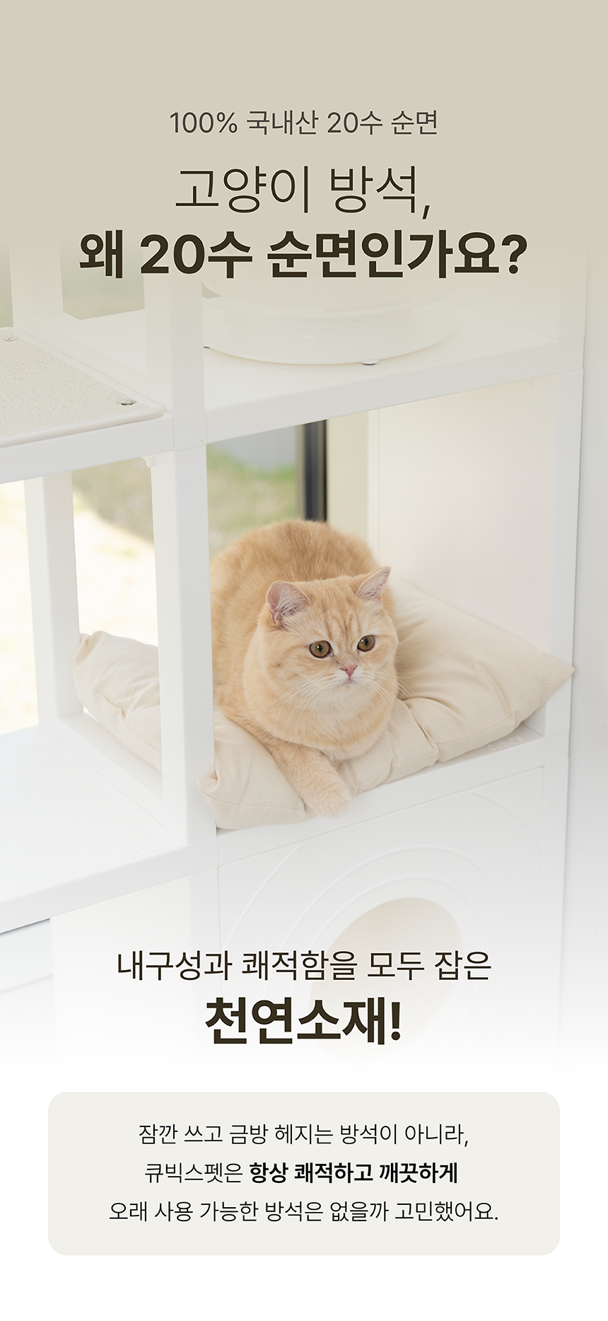 [NEW신상][무료배송] 큐빅스펫 사각 고양이 방석 5번째