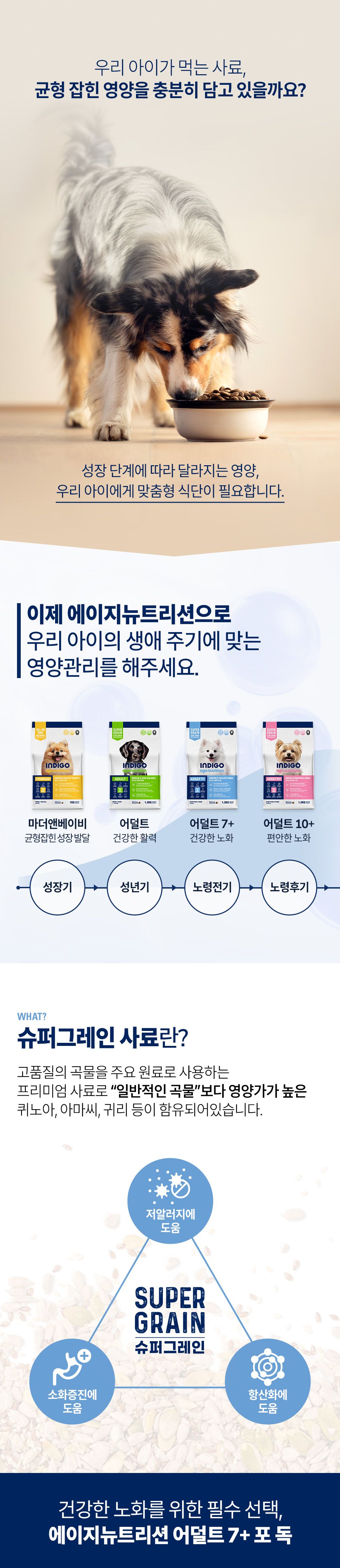 [사료샘플] 인디고 에이지뉴트리션 어덜트 7+ 포 독 40g 1번째