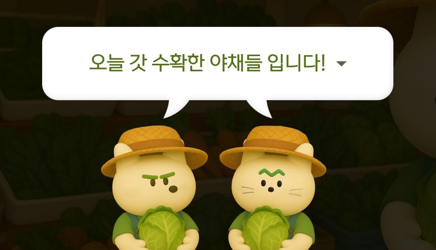 [NEW신상][무료배송] 퍼리타운 독 동결건조 야채믹스 30g 4번째