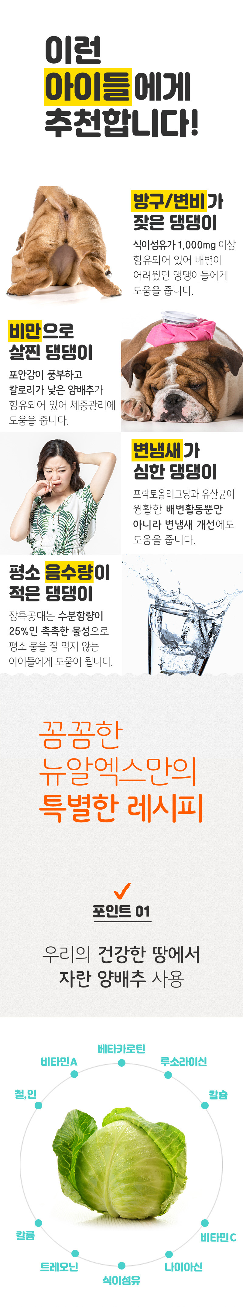 [NEW신상][무료배송] 뉴알엑스 장특공대 당근 100g 8번째