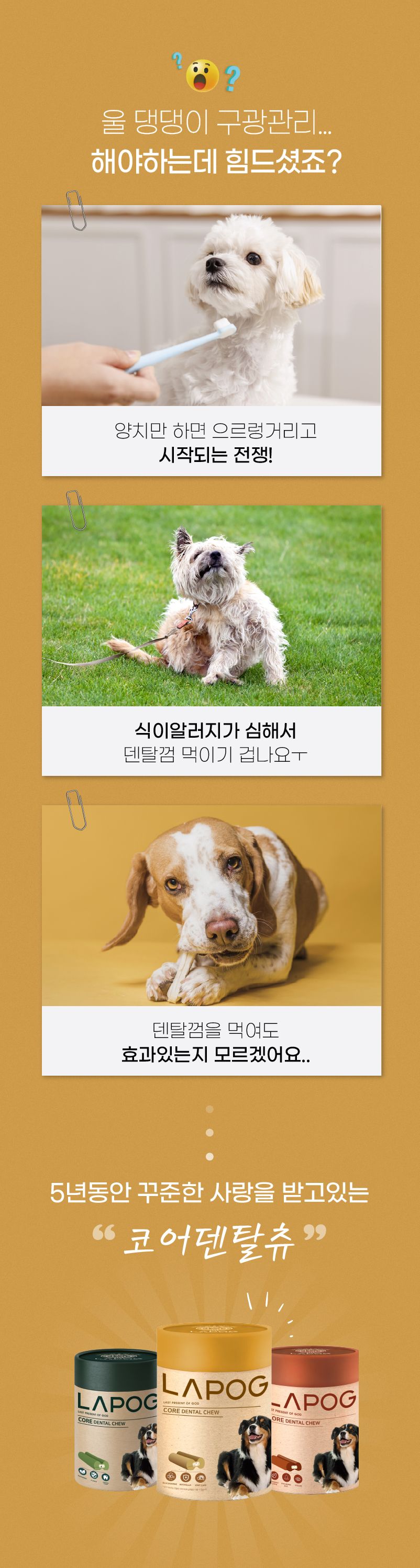 [NEW신상]라포그 독 코어덴탈츄 조인트케어 22g*10p 1번째