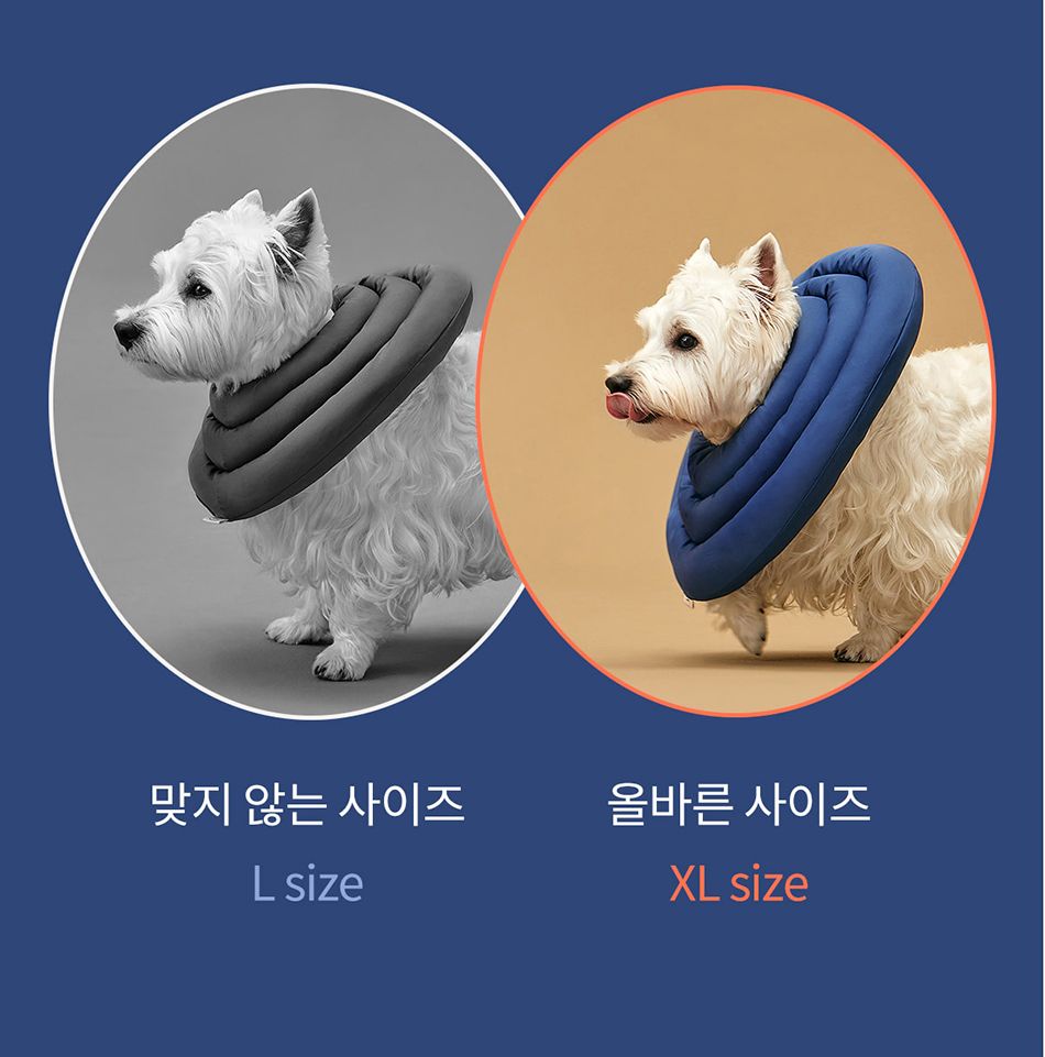 [NEW신상]아르르 UFO 넥카라 v2 네이비/그레이 S-L 55번째