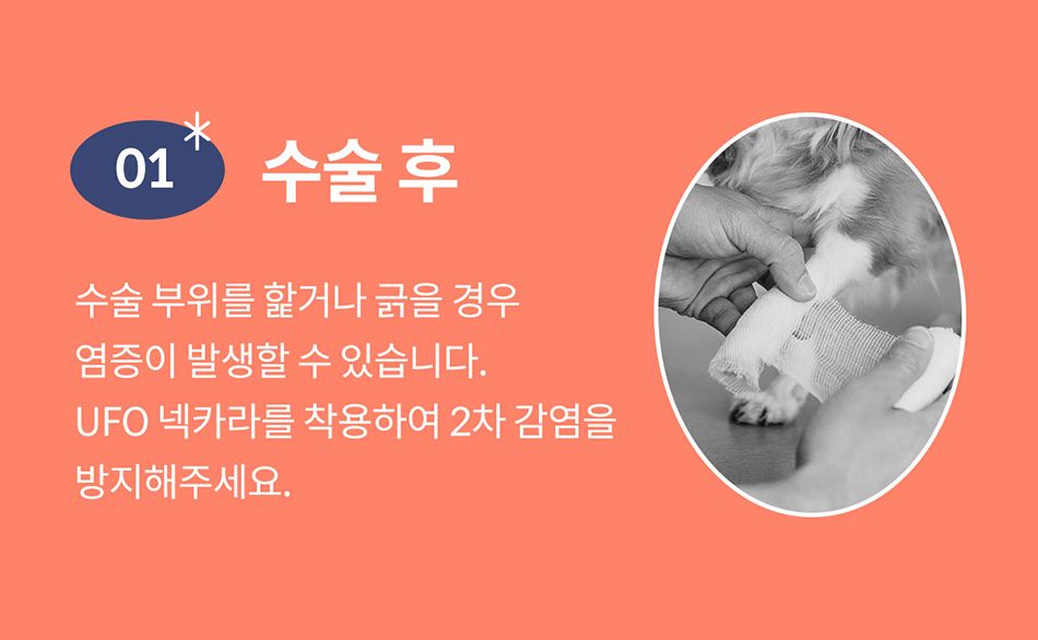 [NEW신상]아르르 UFO 넥카라 v2 네이비/그레이 S-L 41번째
