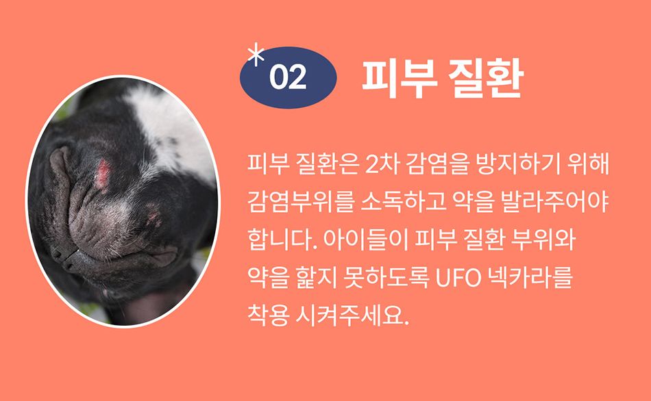 [NEW신상]아르르 UFO 넥카라 v2 네이비/그레이 S-L 42번째