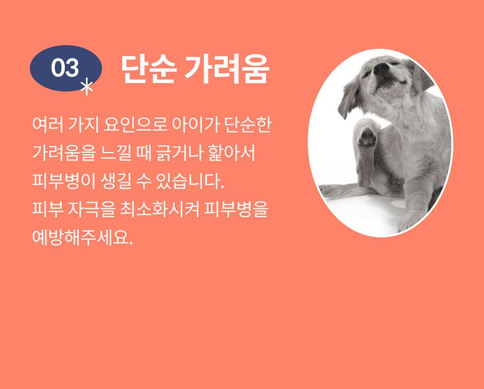 [NEW신상]아르르 UFO 넥카라 v2 네이비/그레이 S-L 44번째