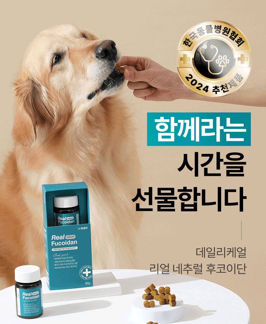 [유통기한임박, 26년6월15일] 펫생각 독 미역귀 후코이단 면역력 혈행 피부 항산화제 30정 17번째