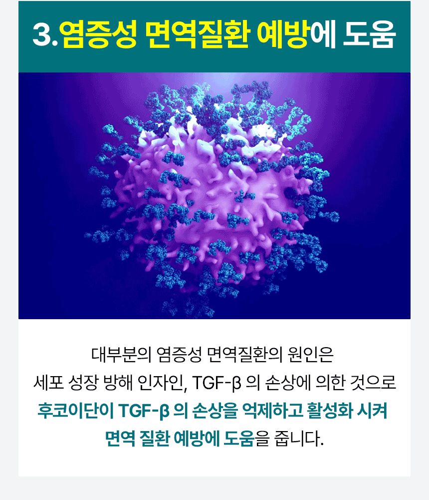 [유통기한임박, 26년6월15일] 펫생각 독 미역귀 후코이단 면역력 혈행 피부 항산화제 30정 14번째