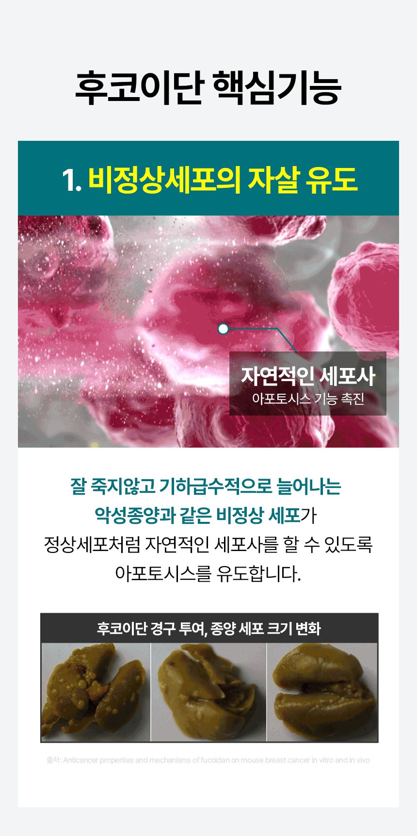 [유통기한임박, 26년6월15일] 펫생각 독 미역귀 후코이단 면역력 혈행 피부 항산화제 30정 12번째