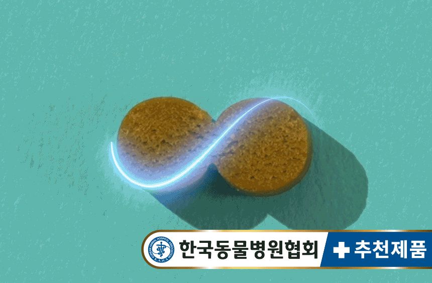 [유통기한임박, 26년6월15일] 펫생각 독 미역귀 후코이단 면역력 혈행 피부 항산화제 30정 21번째
