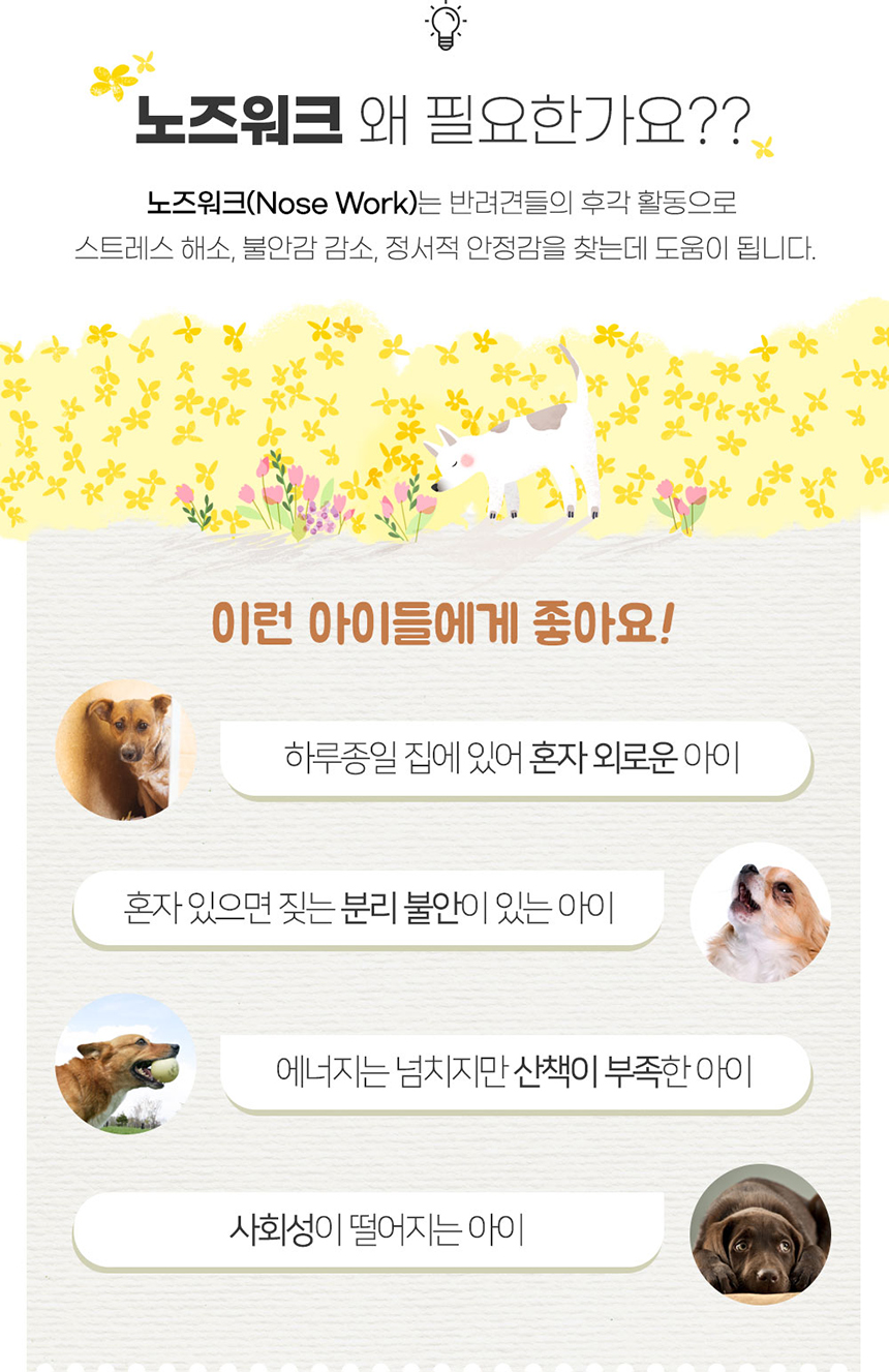 [무료배송] 크림펫 노즈워크 당근농장 2번째