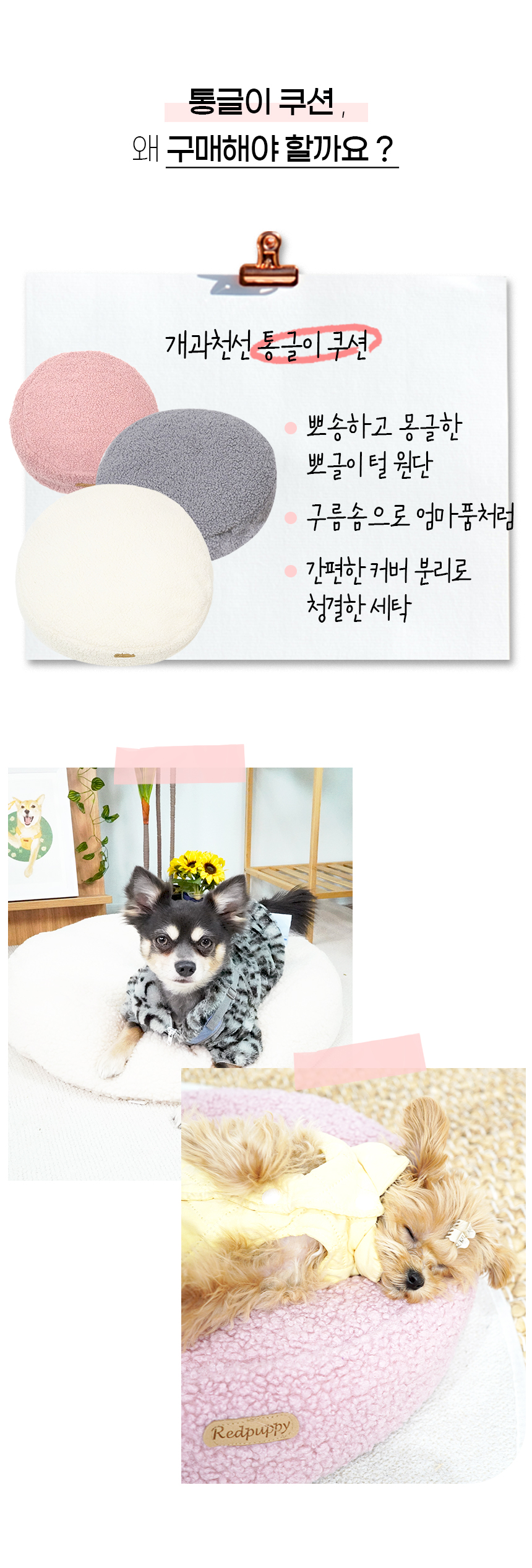 [NEW신상][무료배송] 개과천선 통글이 쿠션 (밀크 핑크/밀크 그레이/밀크 아이보리) 6번째