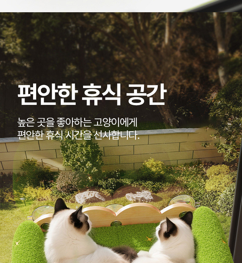[NEW신상][무료배송] 펫볼루션 고양이 고무나무 윈도우 해먹 7번째