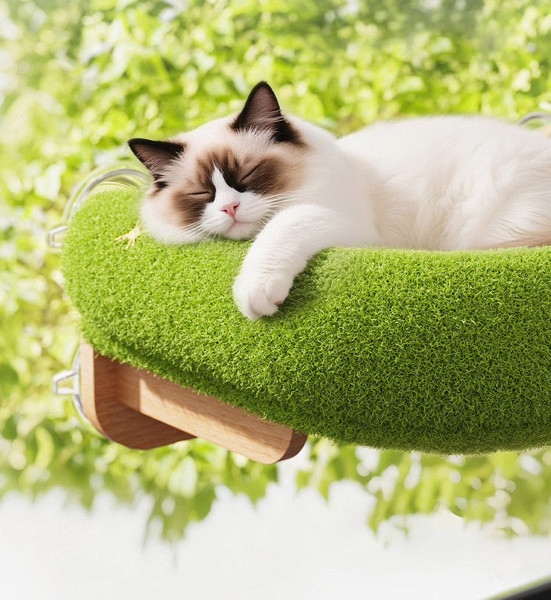 [NEW신상][무료배송] 펫볼루션 고양이 고무나무 윈도우 해먹 6번째