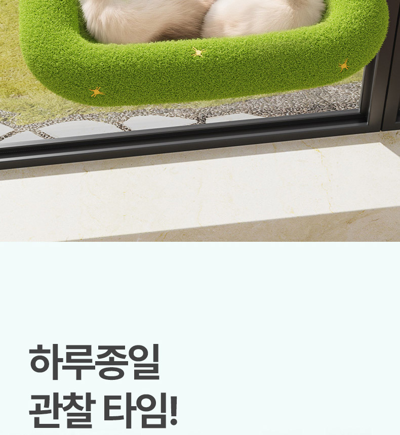 [NEW신상][무료배송] 펫볼루션 고양이 고무나무 윈도우 해먹 8번째