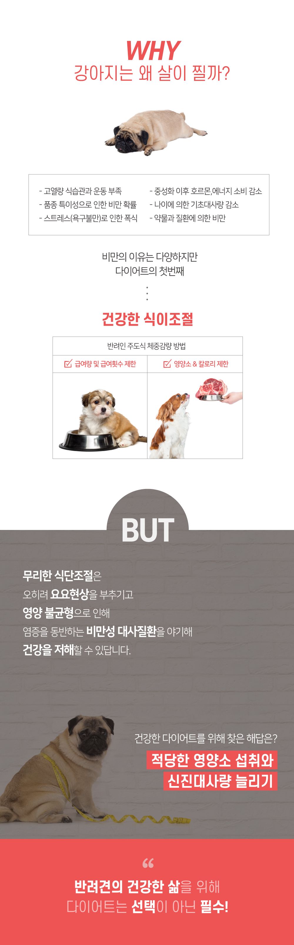 반할끼니 독 오리 웨이트컨트롤 1kg 9번째