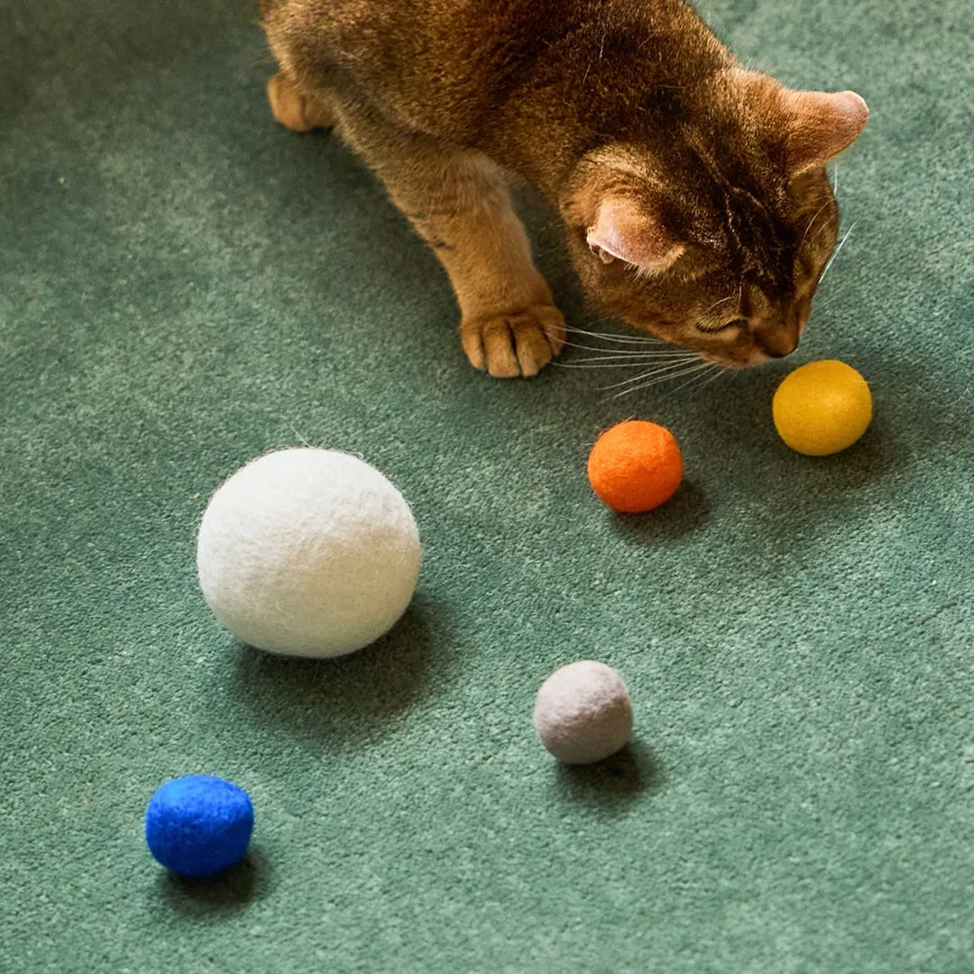 우다다맨숀 냥모공 멀티팩 5P