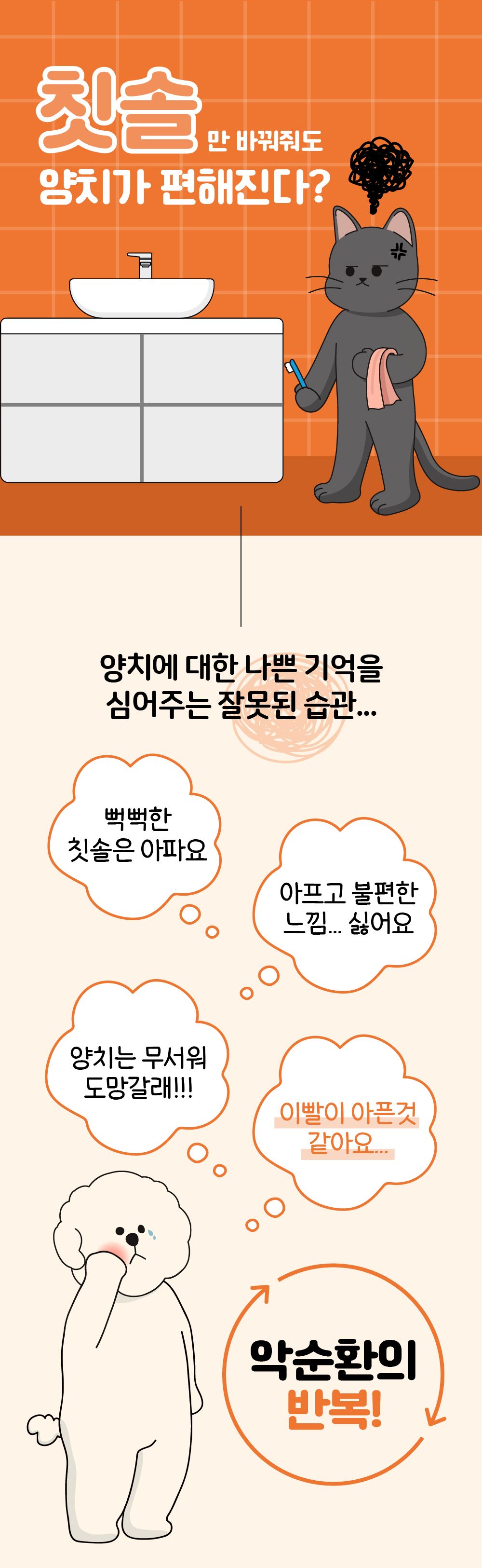 리스펫 덴탈 딥 브러쉬 세트 2번째