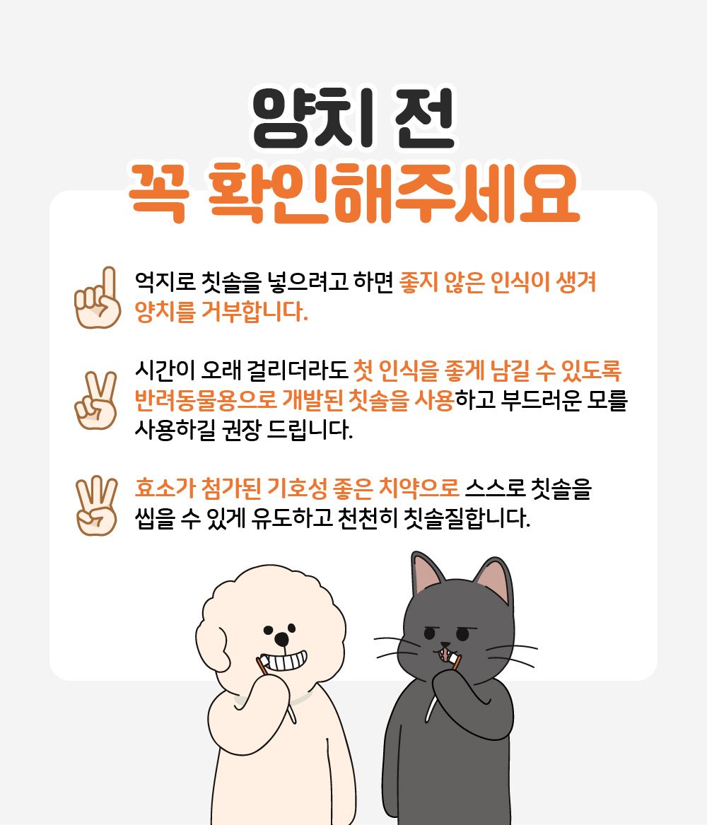 리스펫 덴탈 딥 브러쉬 세트 7번째
