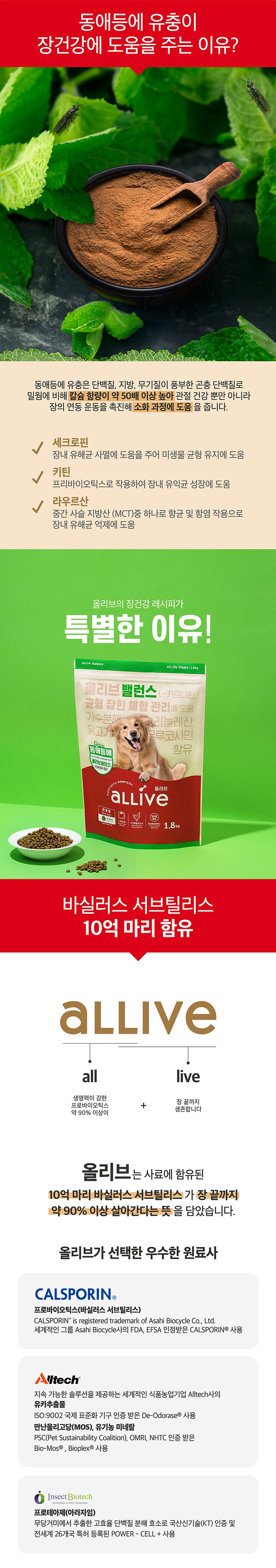 올리브 독 밸런스 6kg 5번째